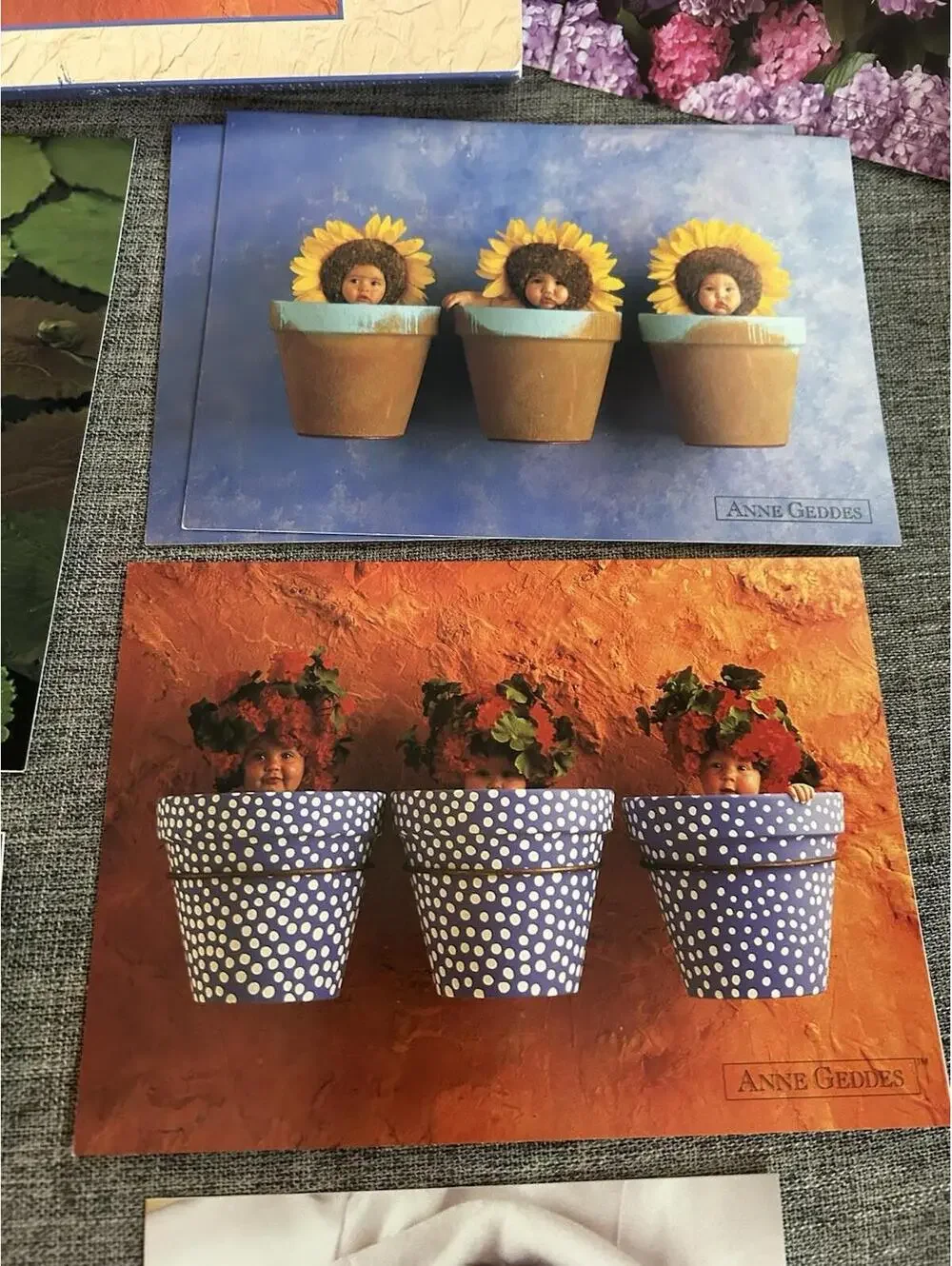 Anne Geddes there are
